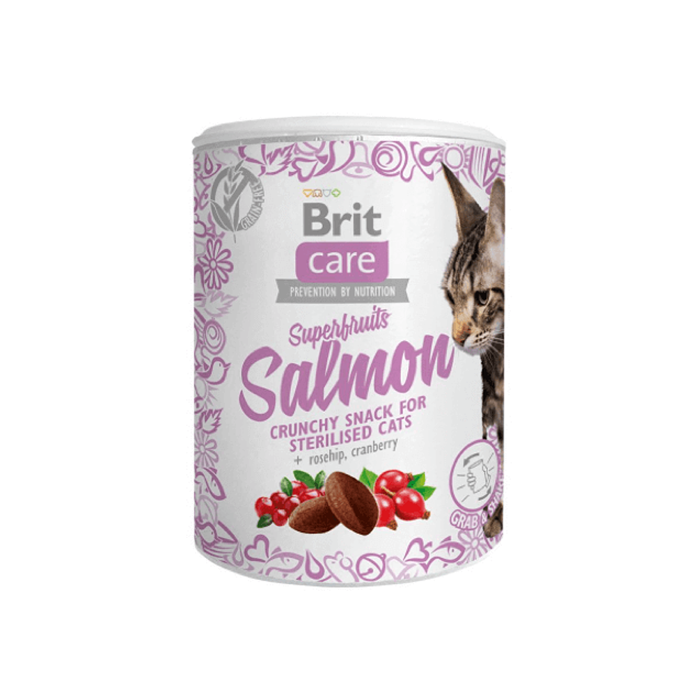Brit Care Cat Superfruits Salmon 100g