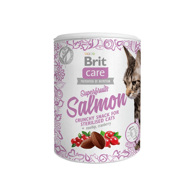 Brit Care Cat Superfruits Salmon 100g