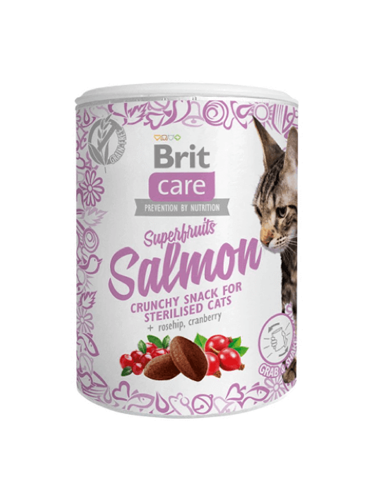 Brit Care Cat Superfruits Salmon 100g 1