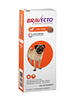 Bravecto (4,5kg - 10 kg) - Miniatura 1