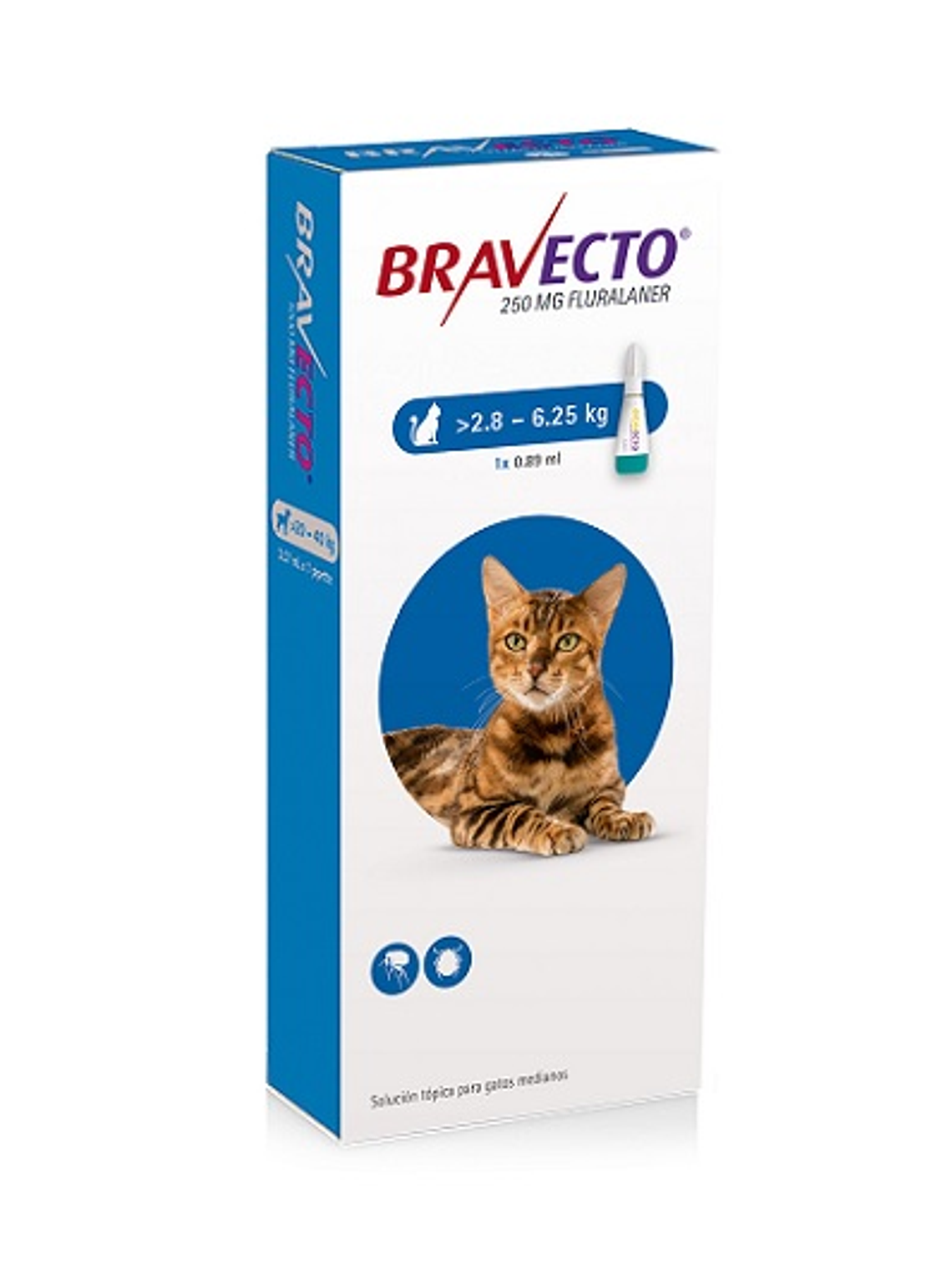 Bravecto para Gato  (2,8kg - 6,25kg)  1