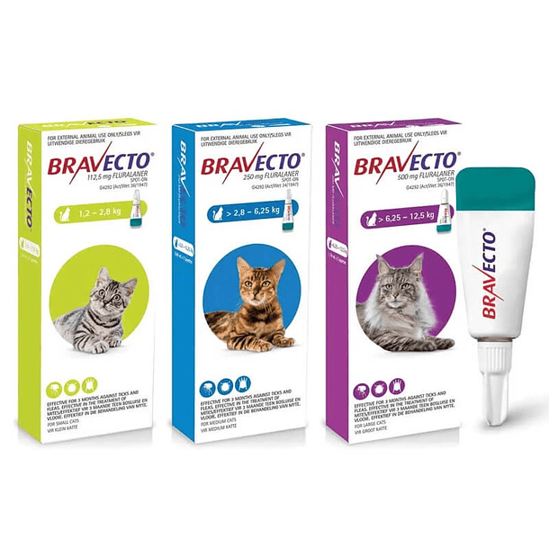 Bravecto para Gato  (2,8kg - 6,25kg)  2