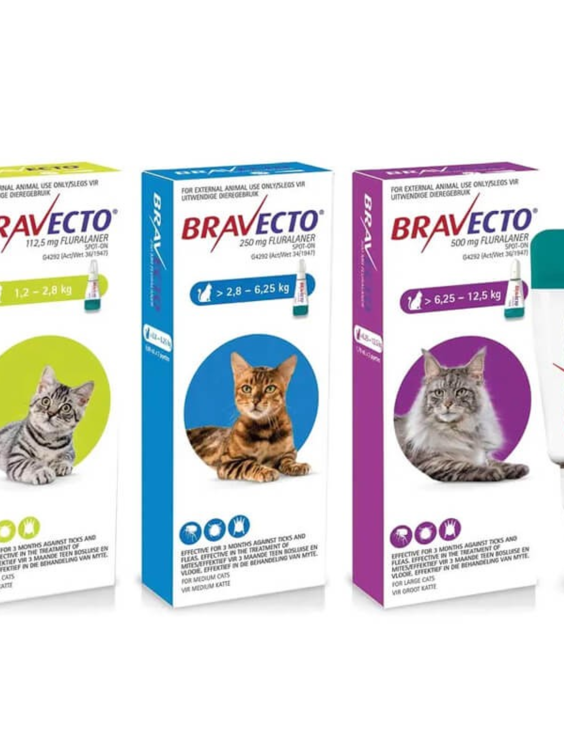 Bravecto para Gato  (2,8kg - 6,25kg)  2