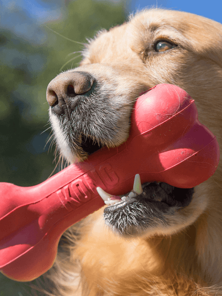 Kong Goodie Bone S 4