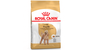 Royal Canin Poodle Adulto 