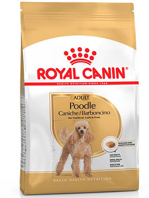 Royal Canin Poodle Adulto 