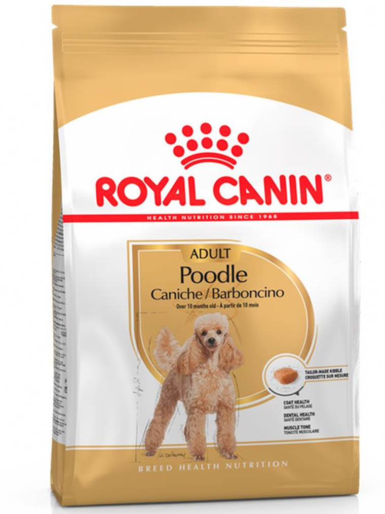 Royal Canin Poodle Adulto  1