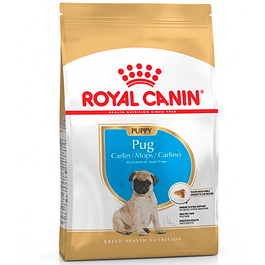 Royal Canin Pug Junior 2,5kg