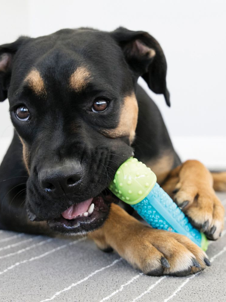 Kong Corestrenght Bone Grande 3