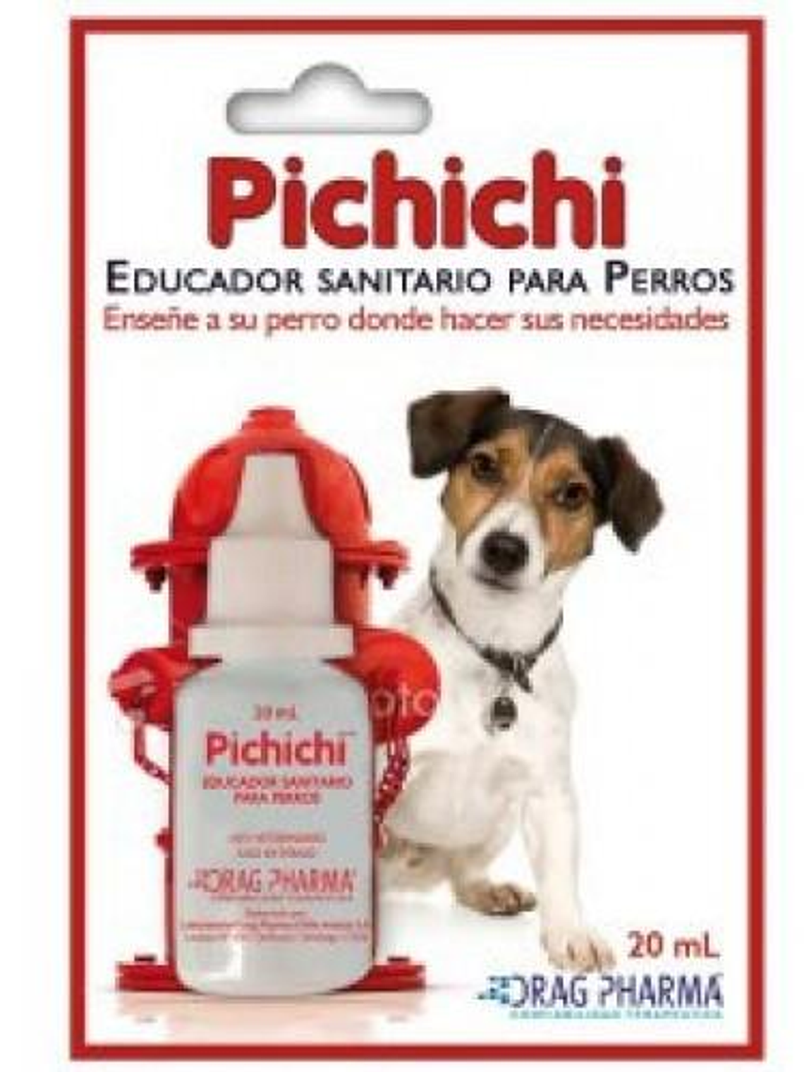 Pichichi Educador Sanitario para Perros  1