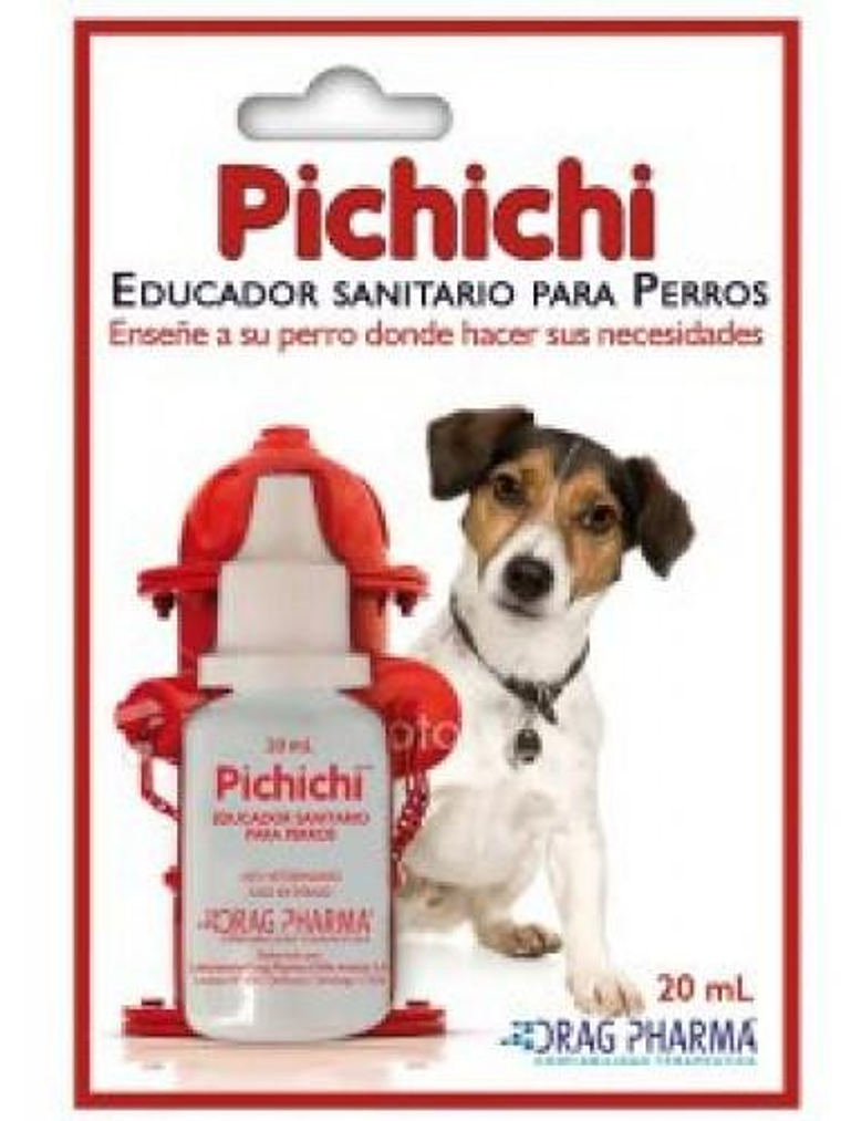 Pichichi Educador Sanitario para Perros  1