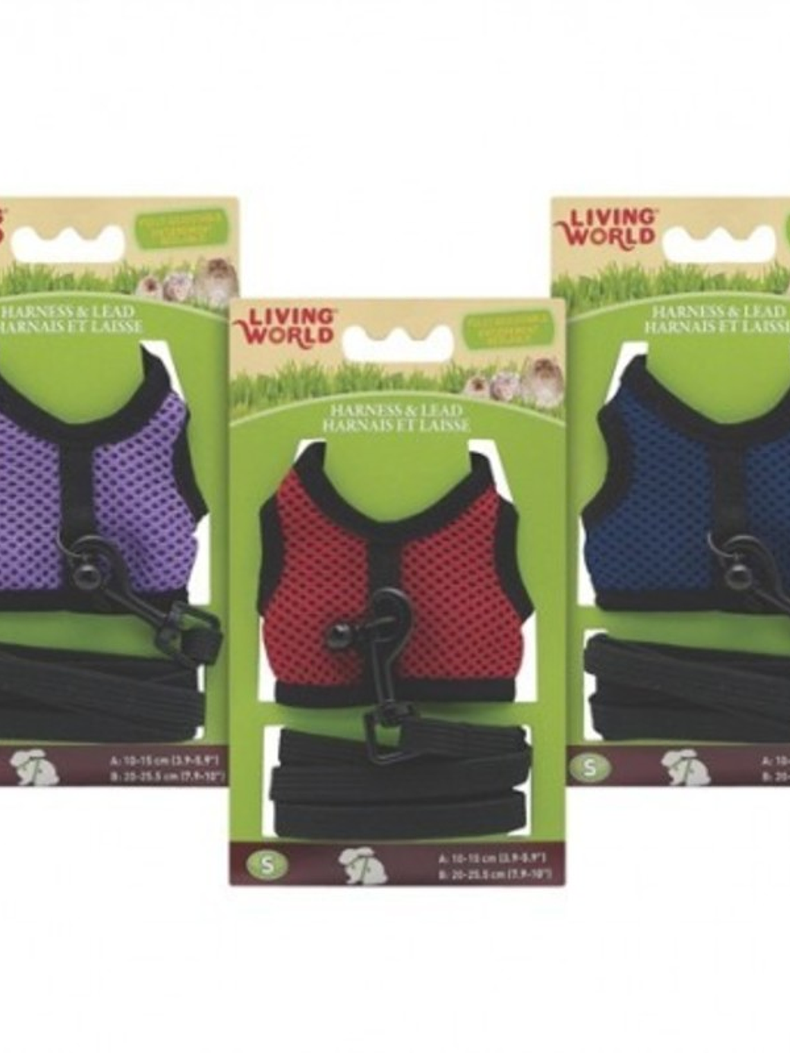 Living World Arnés y Correa Animales Pequeños (S) 1