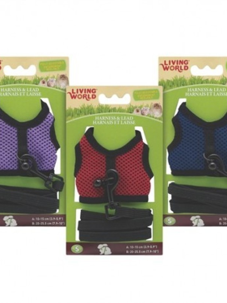 Living World Arnés y Correa Animales Pequeños (L) 1