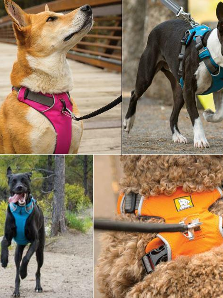 Arnés Ruffwear Front Range XS 2