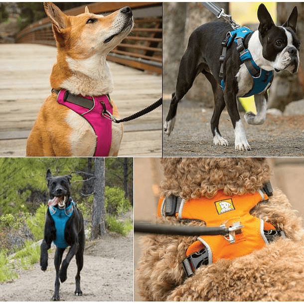 Arnés Ruffwear Front Range M 2