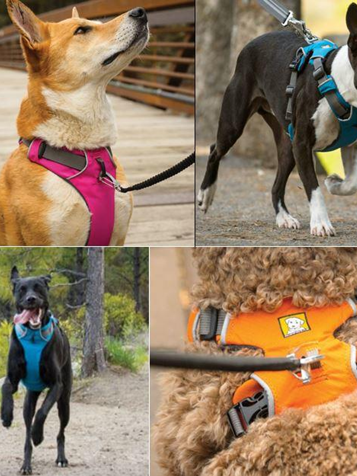 Arnés Ruffwear Front Range L/XL 2