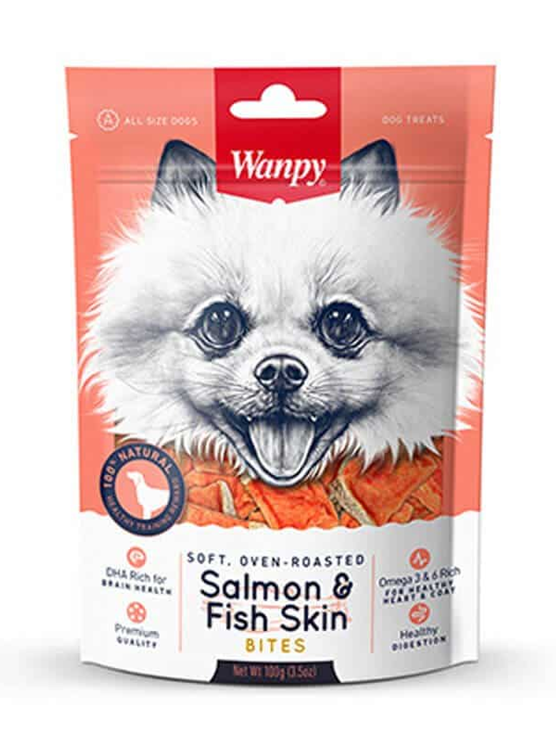 Wanpy Salmon & Fish Skin 1