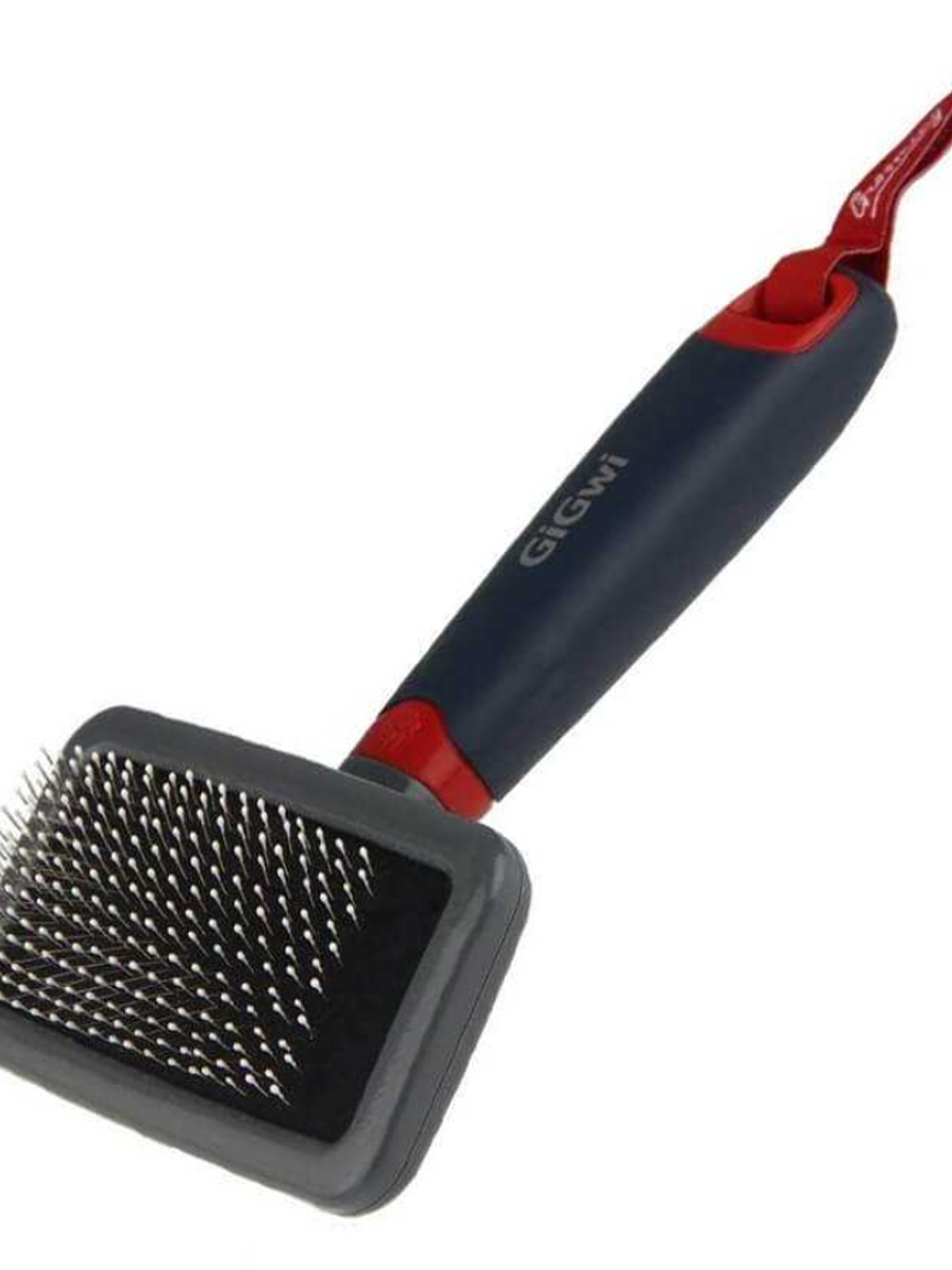 Gigwi Cepillo Tipo Raqueta  2