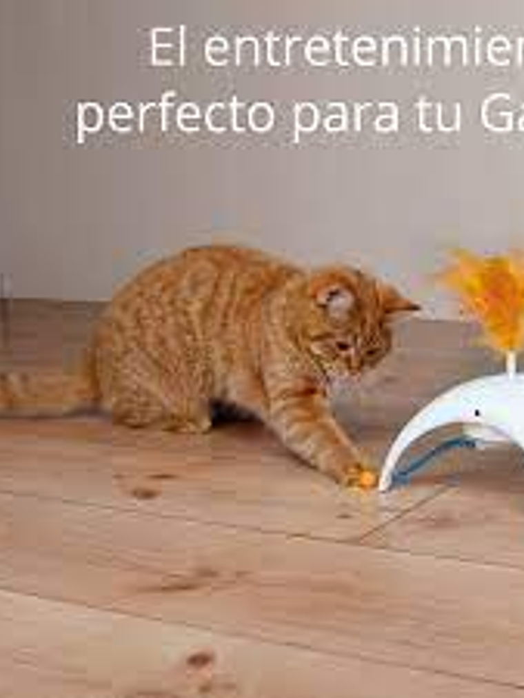 Gigwi Juguete Interactivo Feather Spinner 5