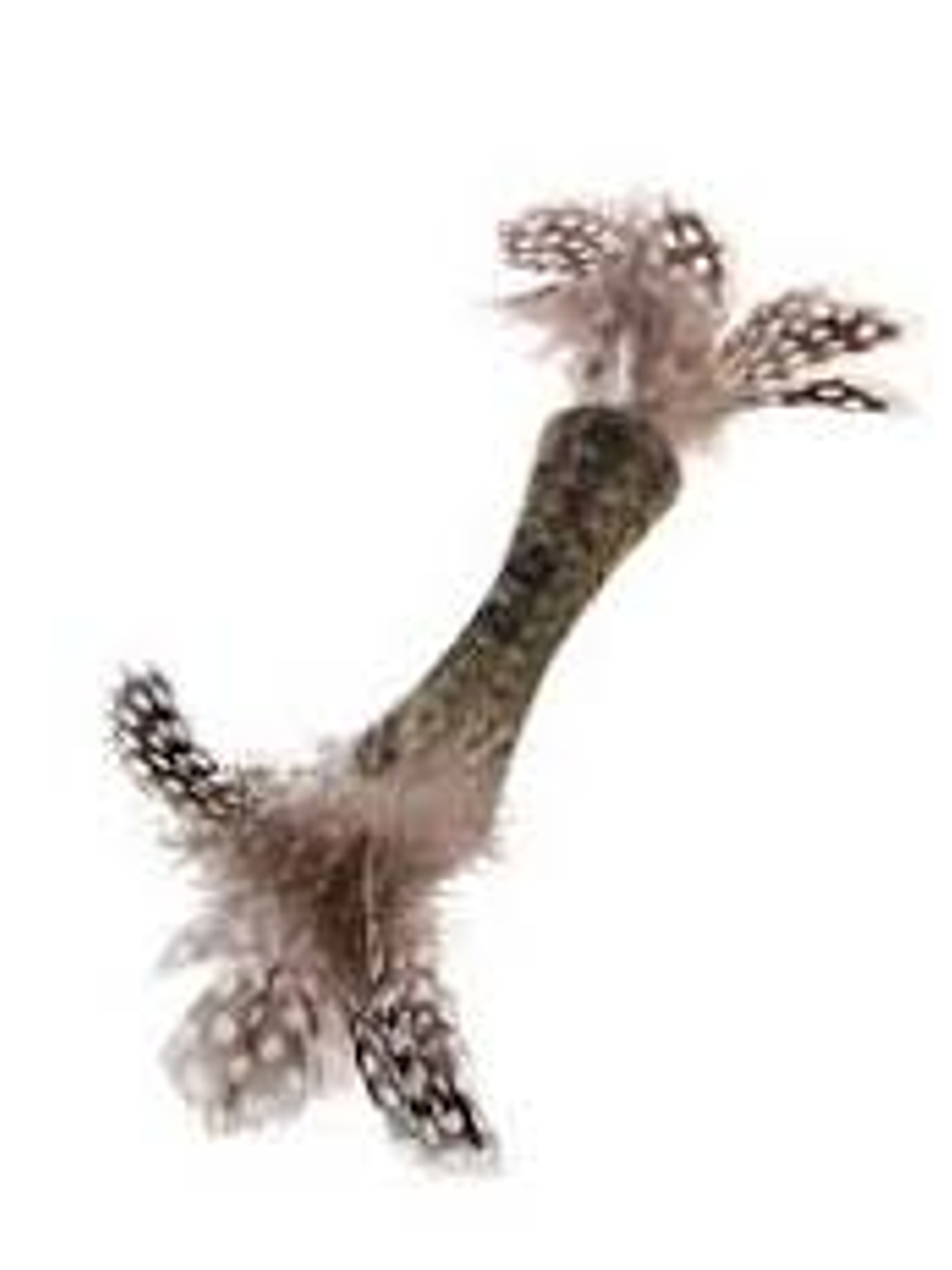 Gigwi Juguete Johnny Stick Con Catnip 4