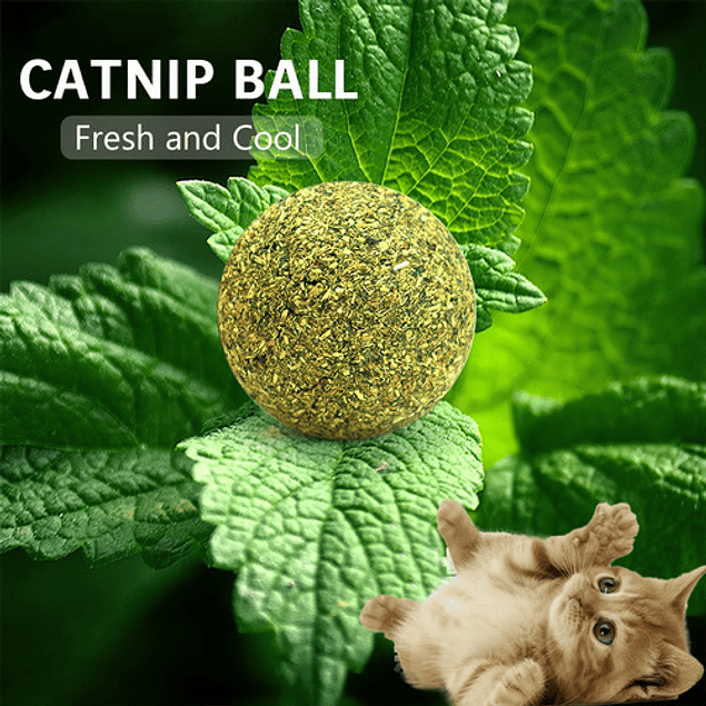 Bola de Catnip XL (5cm)