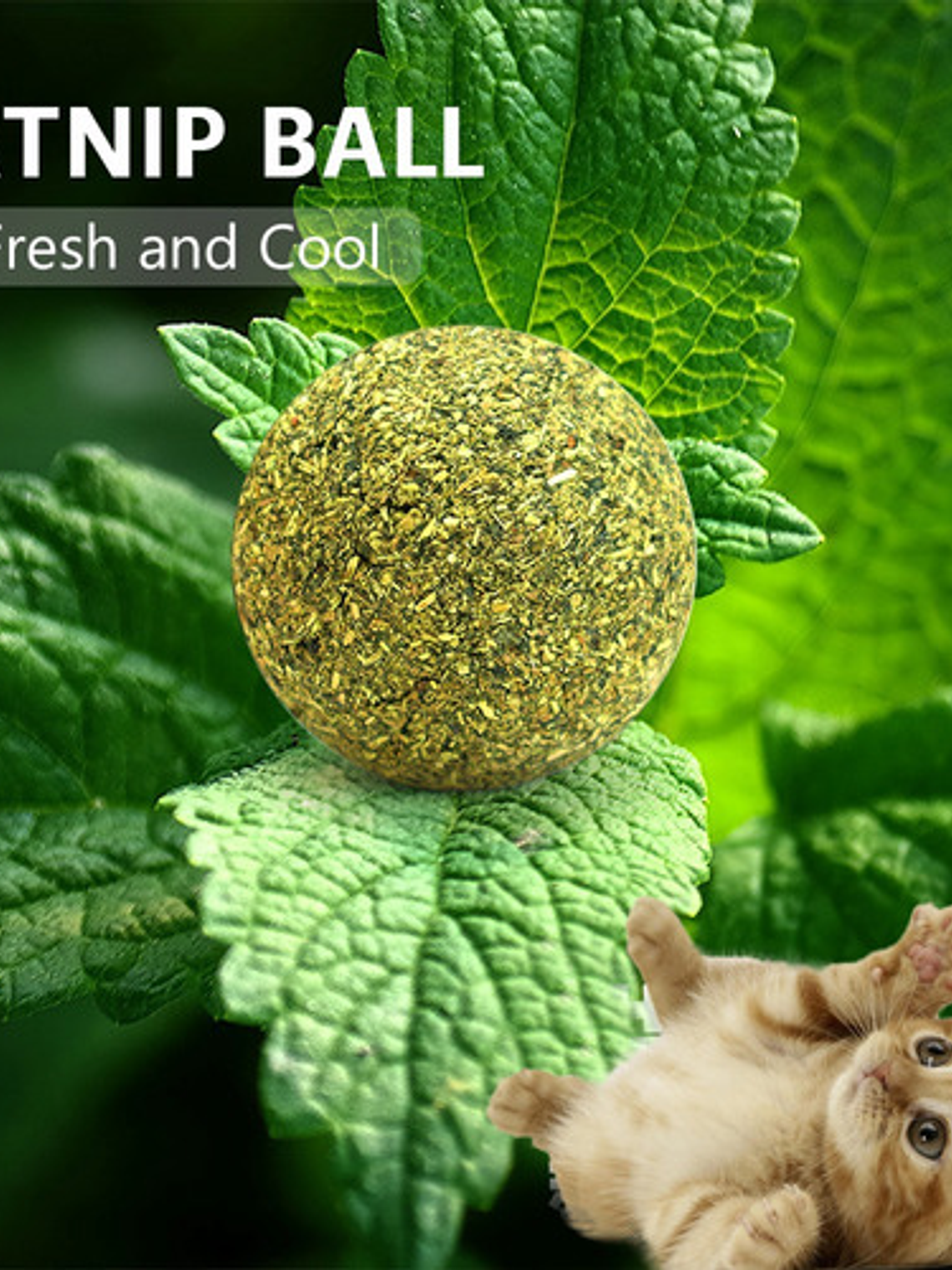 Bola de Catnip XL (5cm) 1