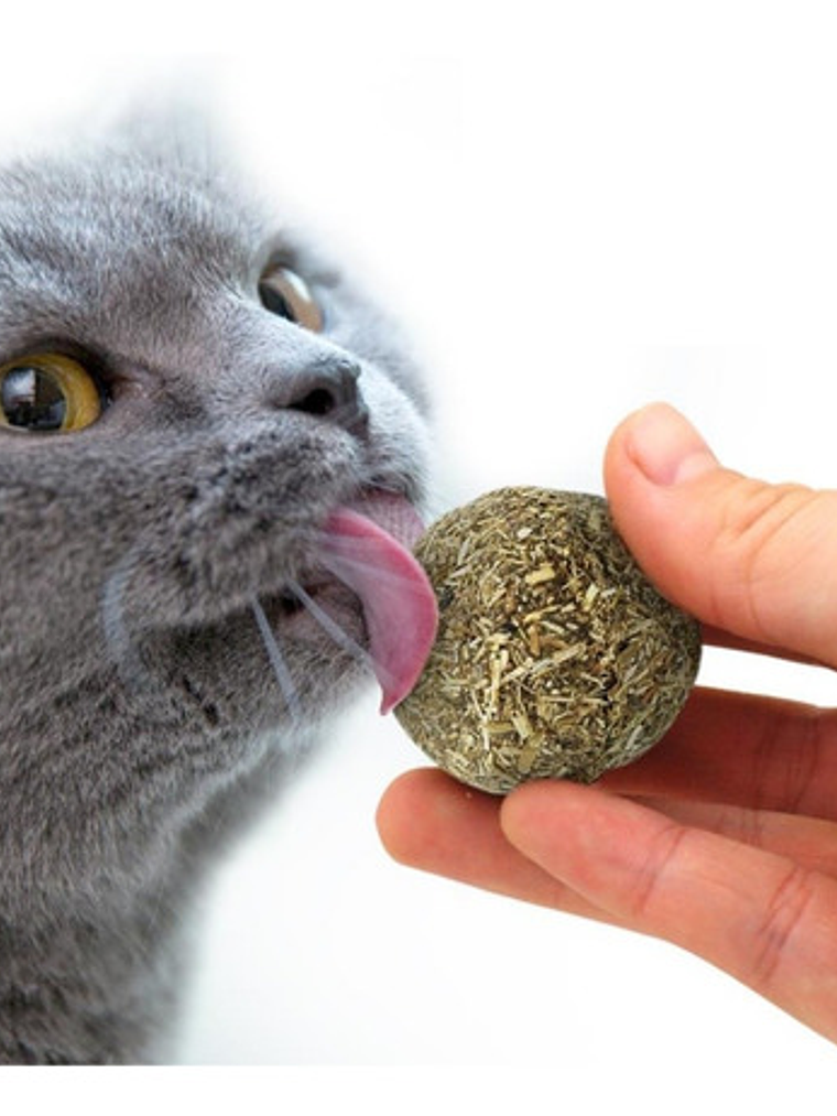 Bola de Catnip XL (5cm) 2