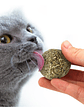 Bola de Catnip XL (5cm) - Miniatura 2