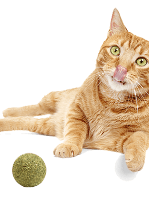 BOLA DE CATNIP PRENSADO WONDER CAT