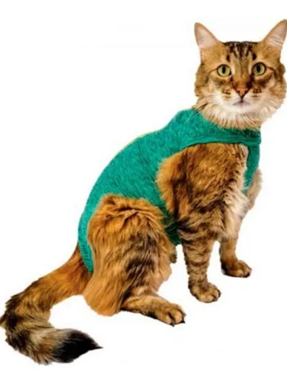 Malla Post-Operatoria Gato Talla 0 verde 1