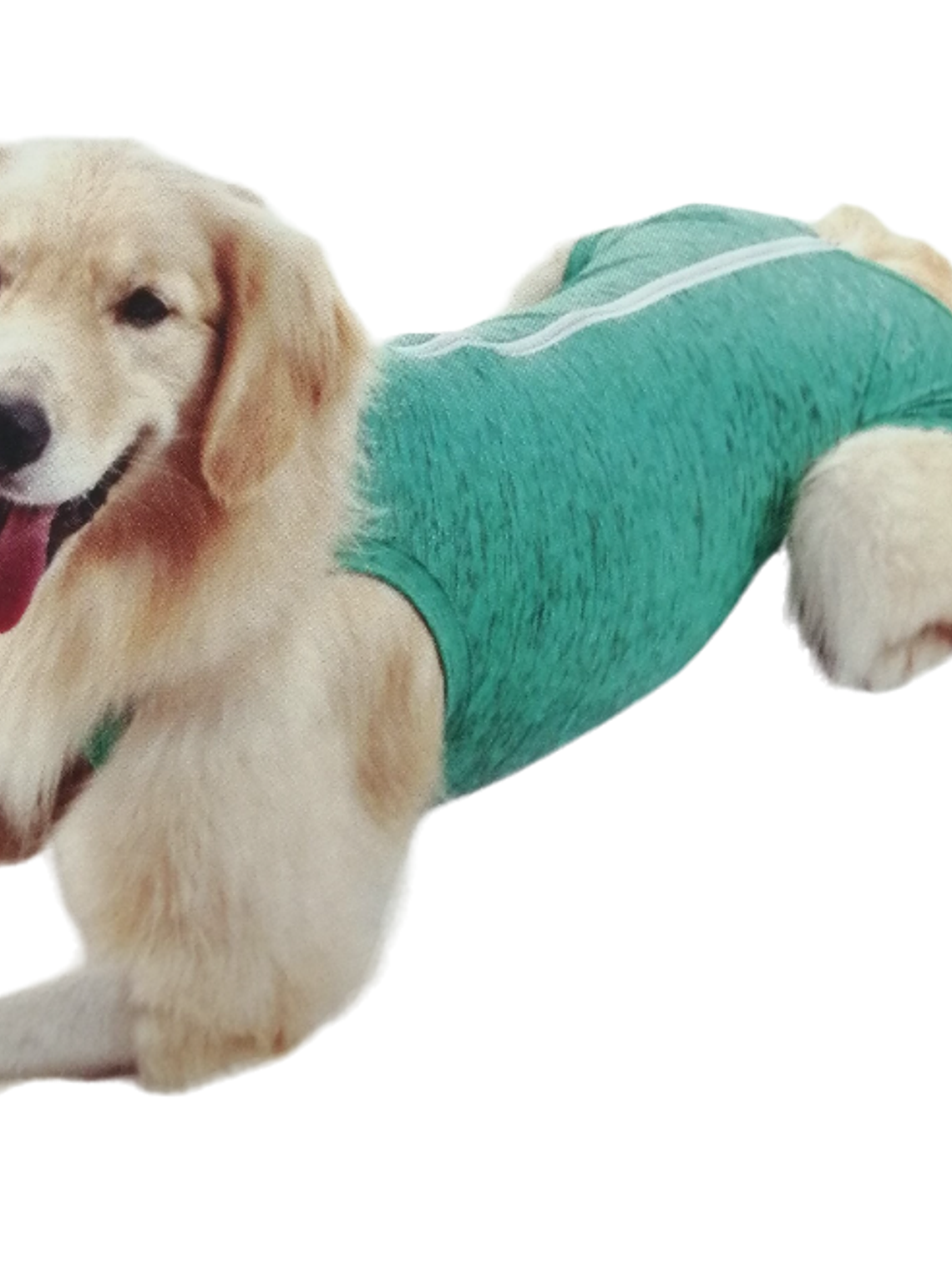 Malla Post-Operatoria unisex Perro Talla 8 1