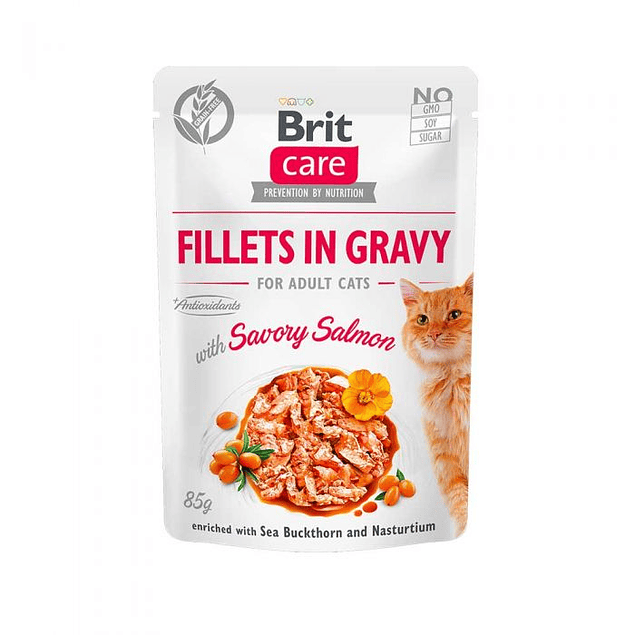 Brit Care - CAT FILLETS IN GRAVY WITH SAVORY SALMON