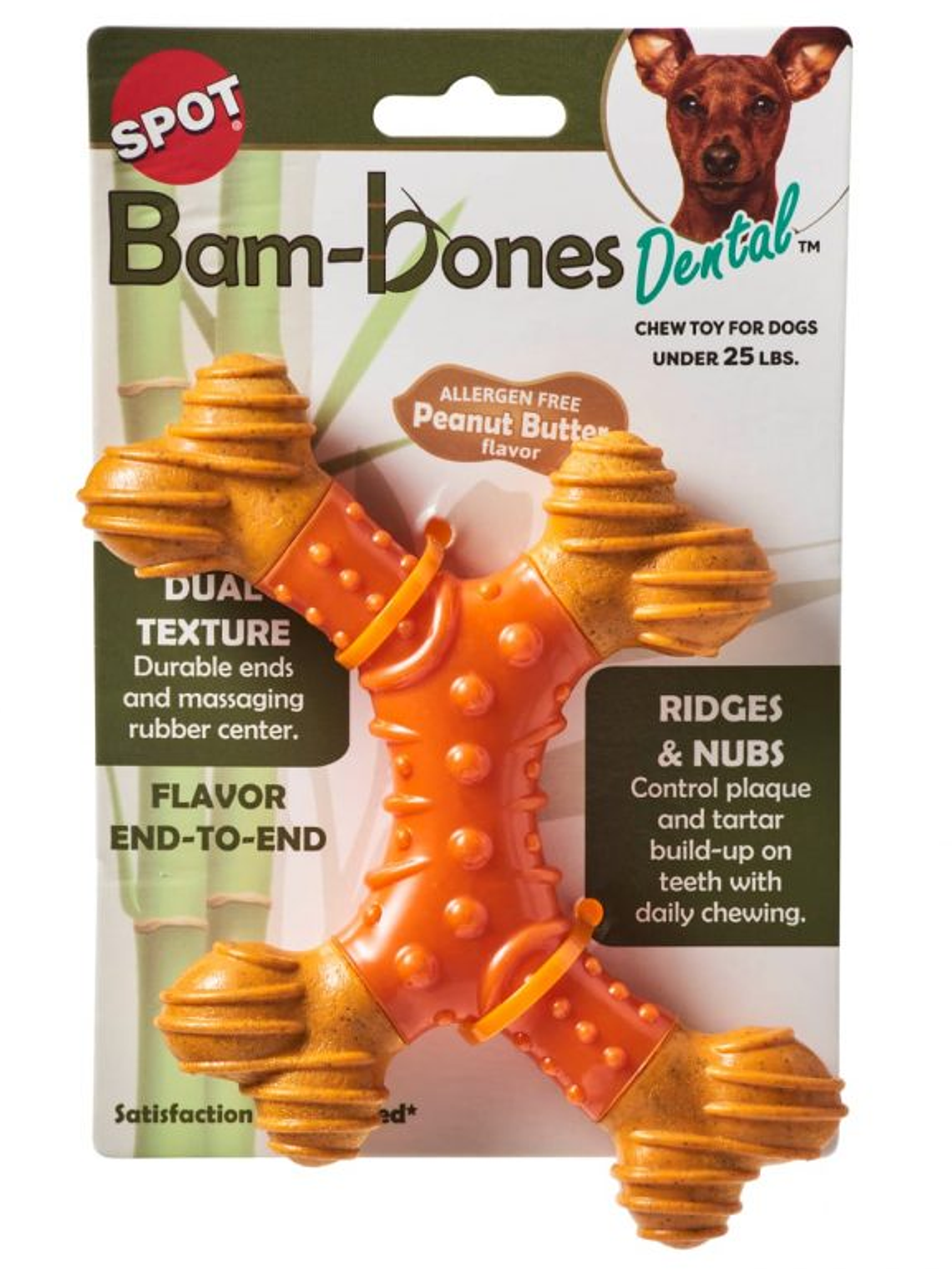 Spot Bam-bones Dental Tipo X small - Mantequilla de Maní 1