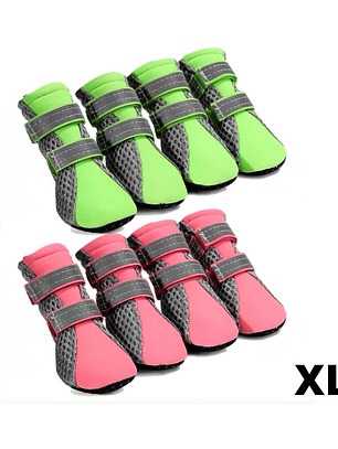 Zapatos para perros talla XL