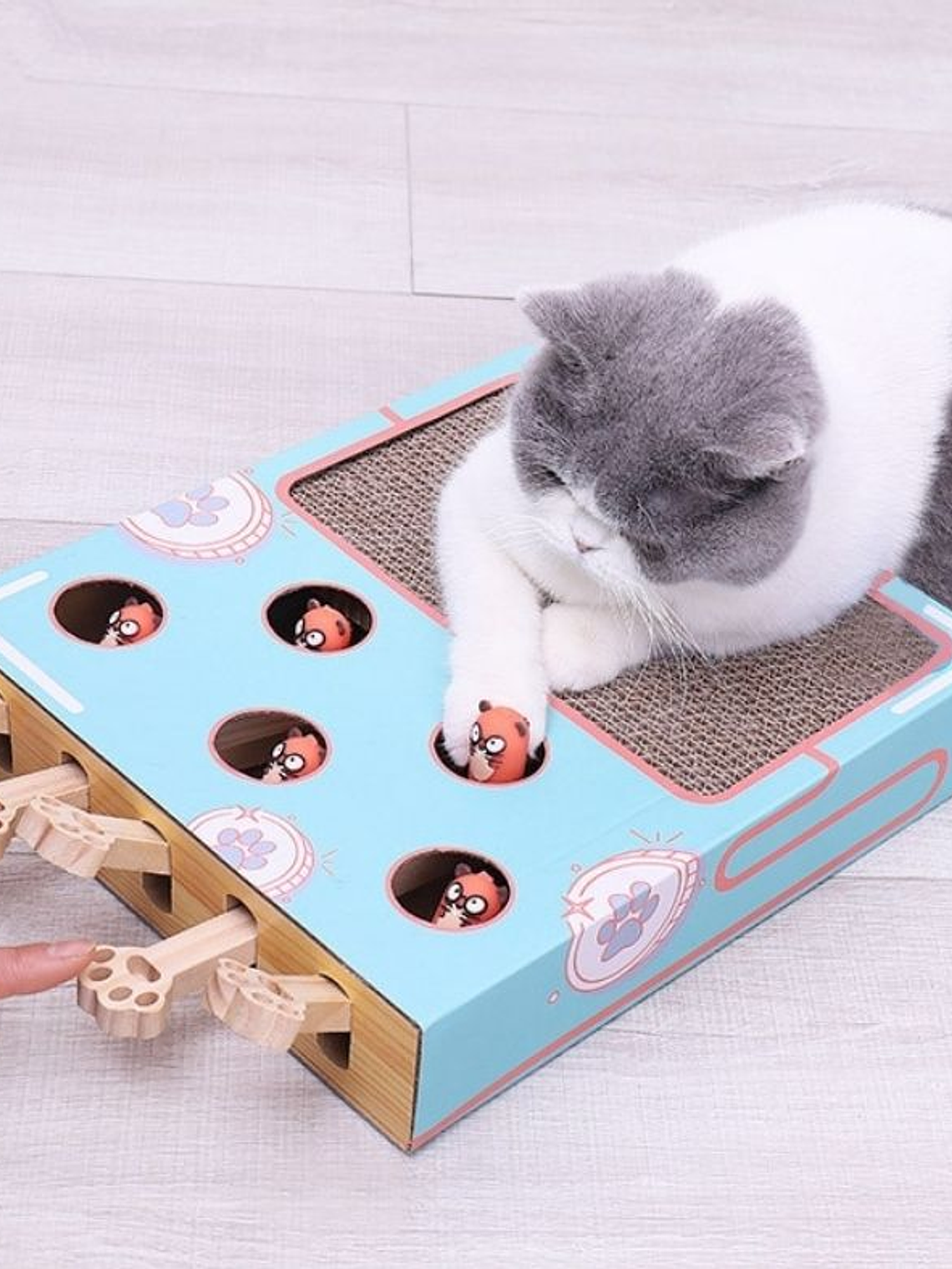 RASCADOR INTERACTIVO GATO CON PALANCA DE JUEGOS	 2