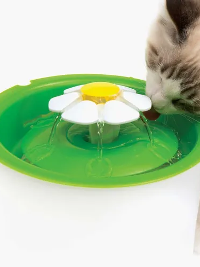 Catit Fuente Flower Para Gatos De 3 Litros  2
