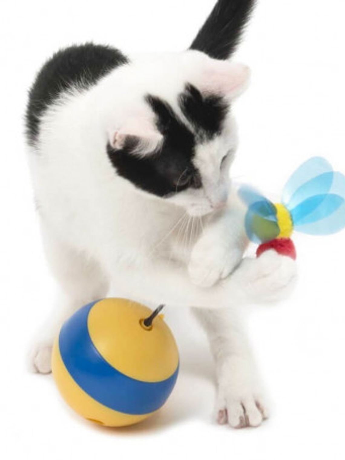 Catit Play Juguete Interactivo Spinning Bee 5