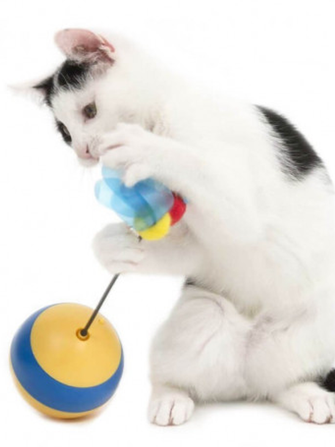 Catit Play Juguete Interactivo Spinning Bee 6