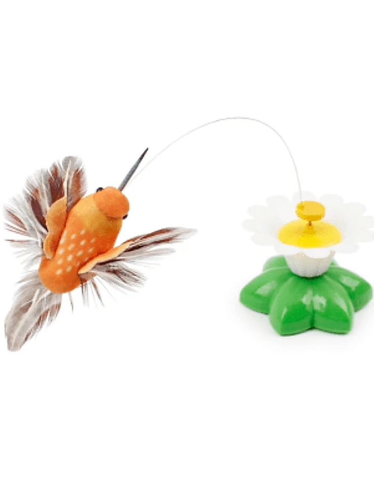 Juguete interactivo Pájaro giratorio para Gato   1