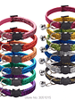 Wonder Cat Collar Anti Ahorque  - Miniatura 2
