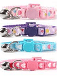 Wonder Cat Collar Anti Ahorque  - Miniatura 4