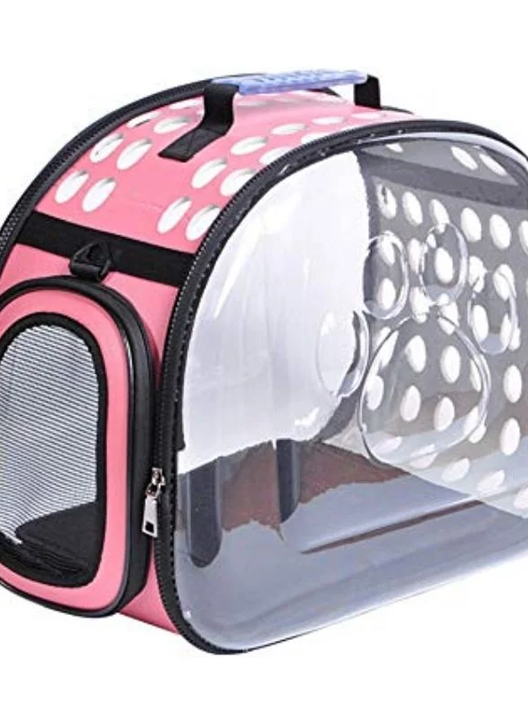 BOLSO DE TRANSPORDTE TRANSPARENTE	 2