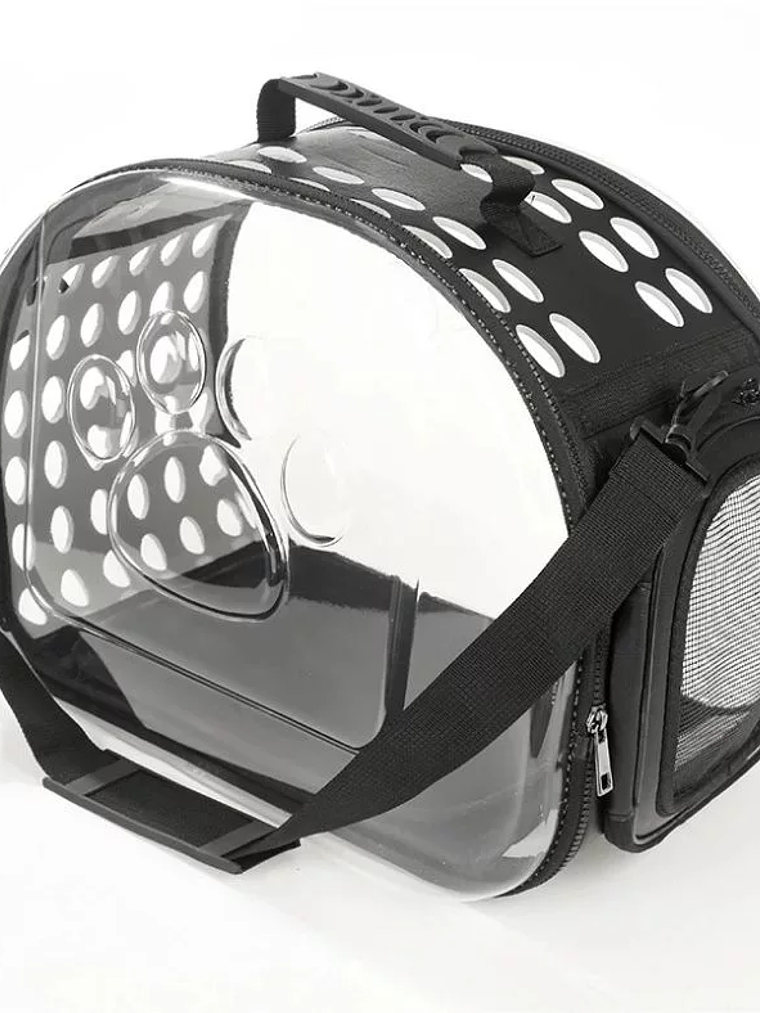 BOLSO DE TRANSPORDTE TRANSPARENTE	 1