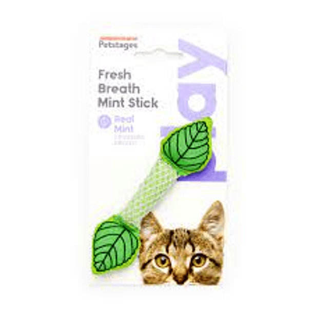 Petstages Dental Real Mint 1