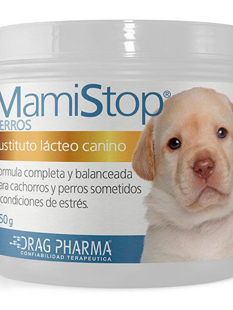 Suplemento Lácteo Para Perro MamiStop 250gr 1