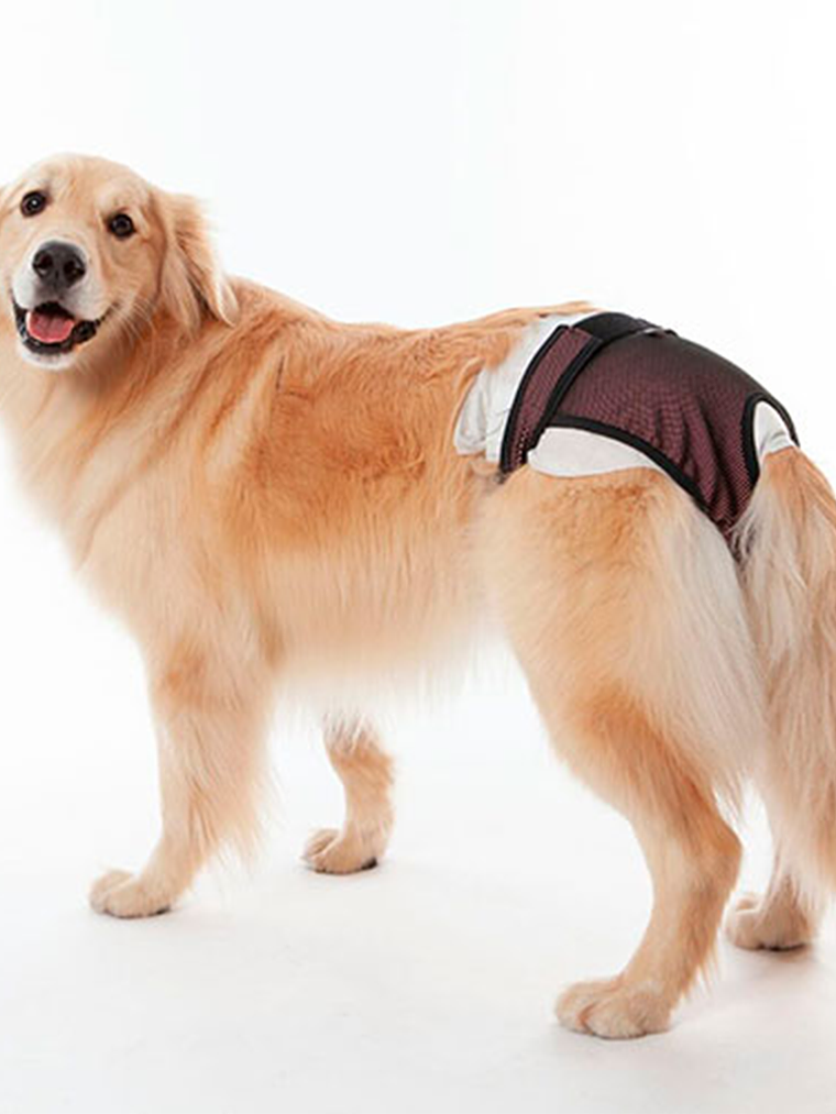 CALZÓN DE CELO TALLA 6 ROSA 2