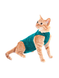 Malla Post-Operatoria Gato Talla 2 - Miniatura 1