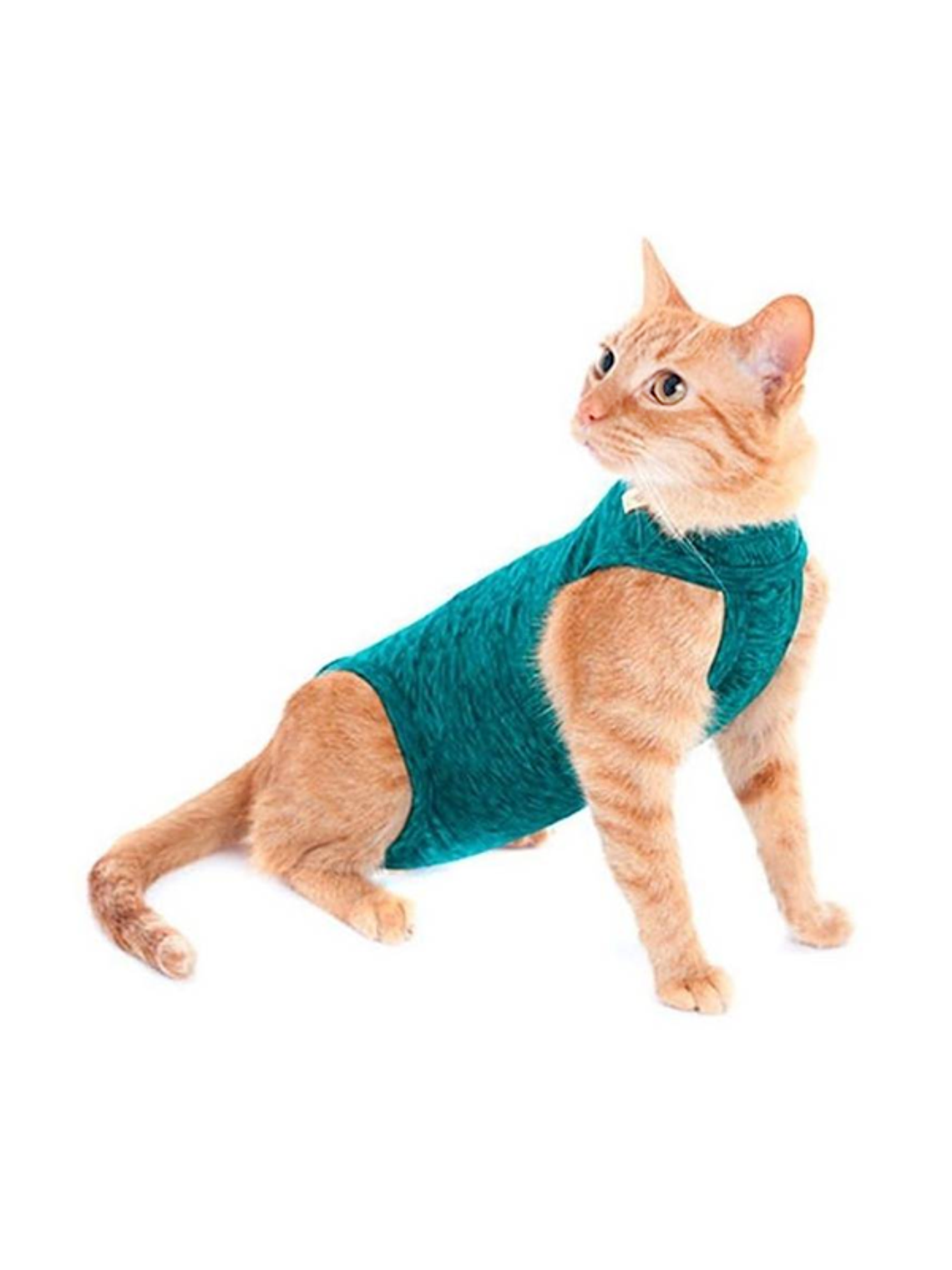 Malla Post-Operatoria Gato Talla 3 1