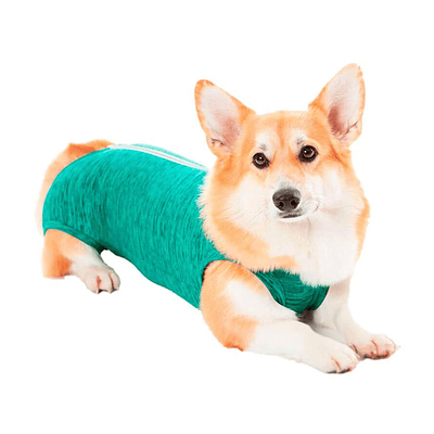 Malla Post-Operatoria unisex Perro Talla 5