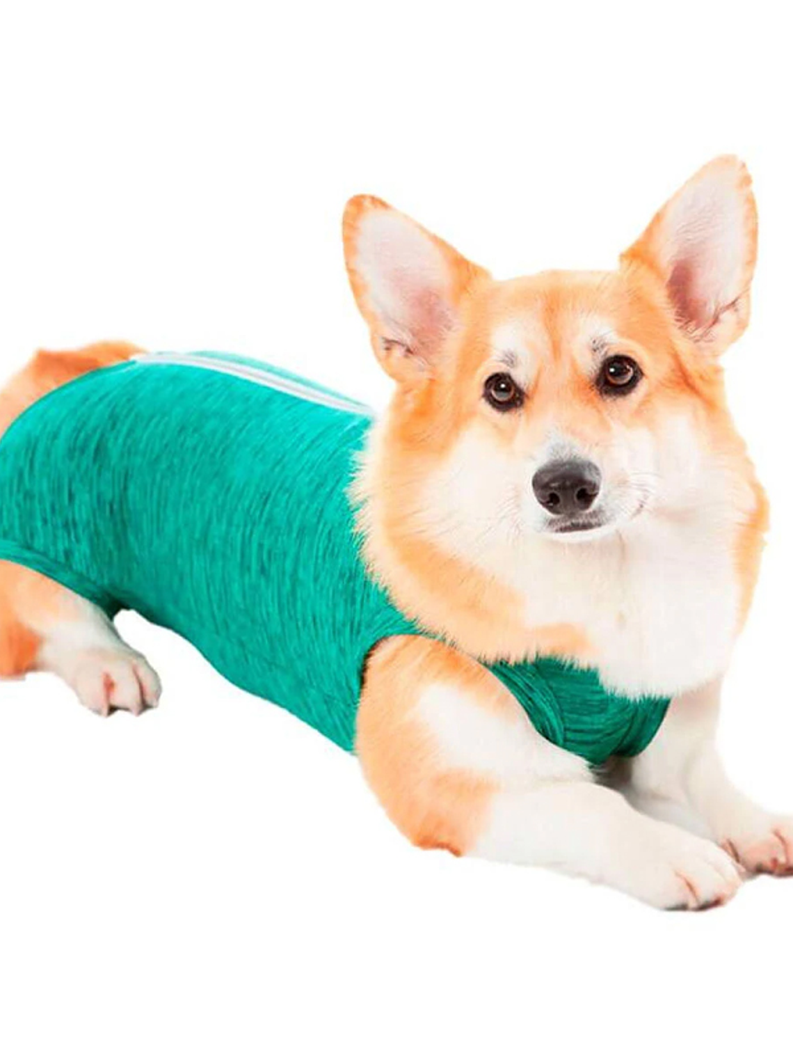 Malla Post-Operatoria unisex Perro Talla 5 2